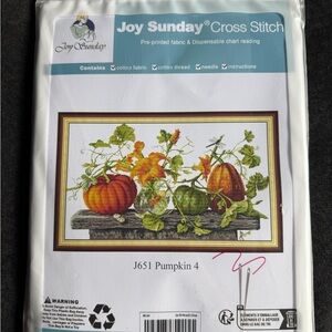 Joy Sunday Pumpkin Cross Stitch Kit - Vibrant Orange and Green BD
